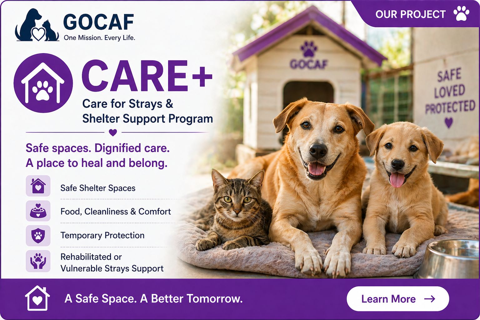 GOCAF CARE+ — Every Stray Deserves a Safe Space